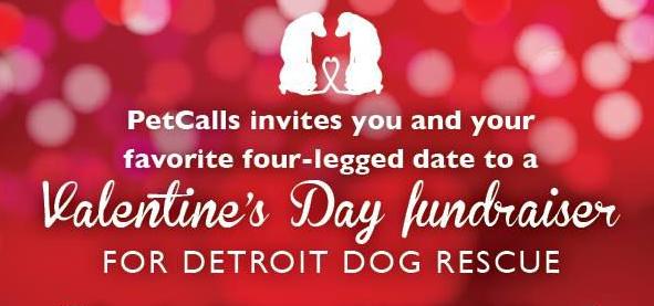 Detroit Dog Rescue at MOCAD for PetCalls